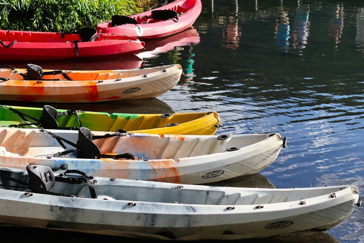 River Current Safety: What Every Kayaker Should Know Before You Rent (And Why Insurance Isn’t Optional)