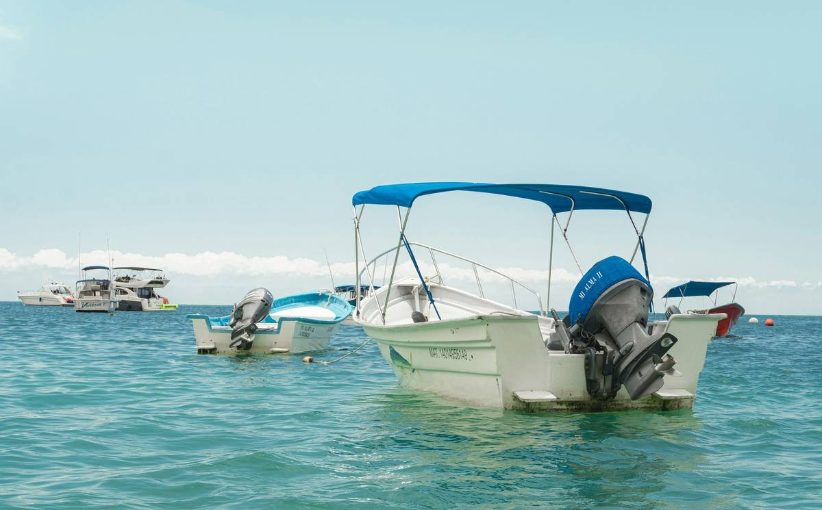 Bar chart showing 60% of kayak rental damages caused by user error, 25% by weather, 15% by manufacturing defects