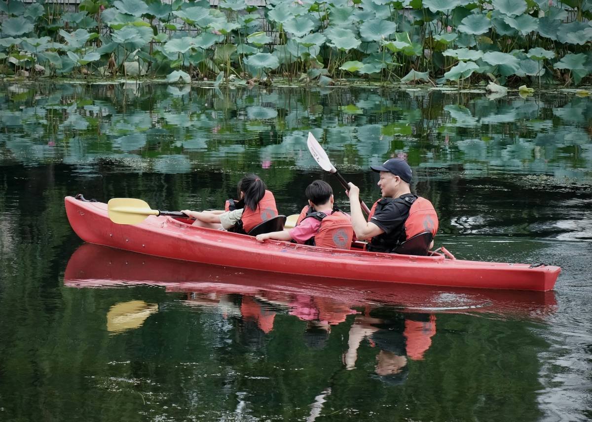 Infographic showing what standard paddle safe kayak rental insurance covers: hull damage (yes), theft (yes), liability to others (yes), personal injury (sometimes), pre-existing damage (no), intentional acts (no)