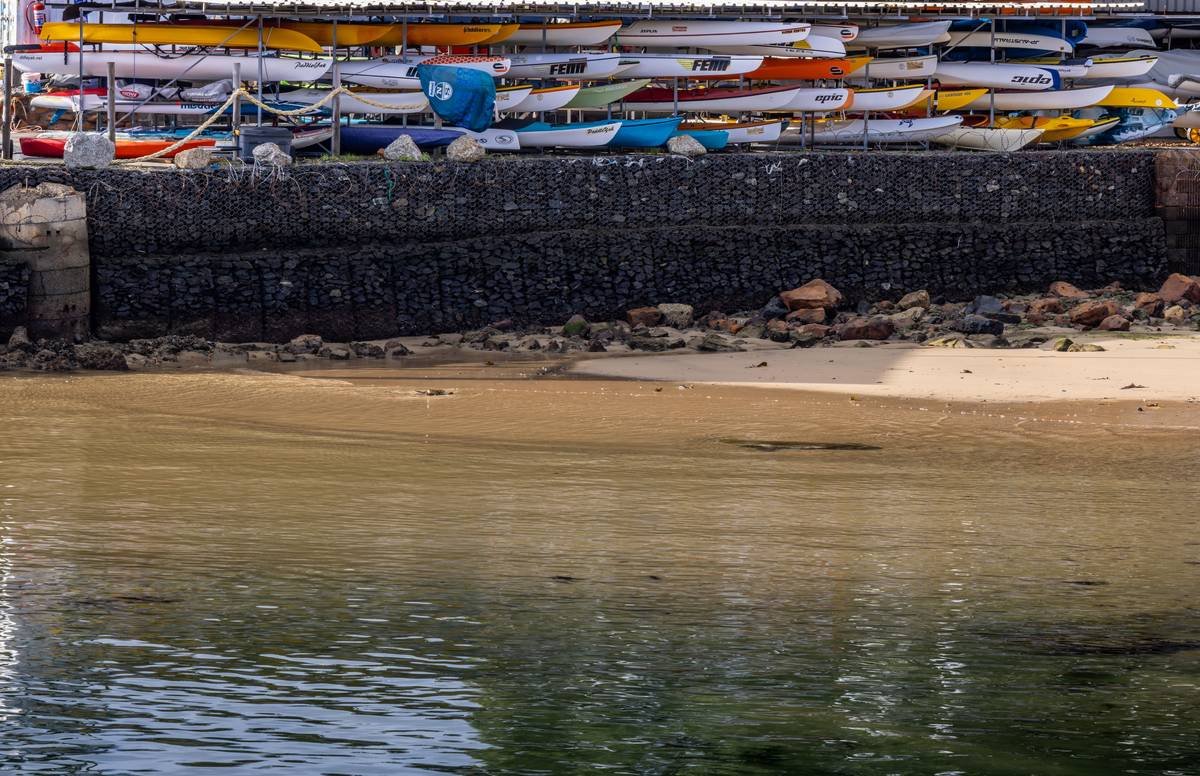 What You *Really* Need to Know: Essential Information on Kayak Rentals (Including the Insurance Fine Print)