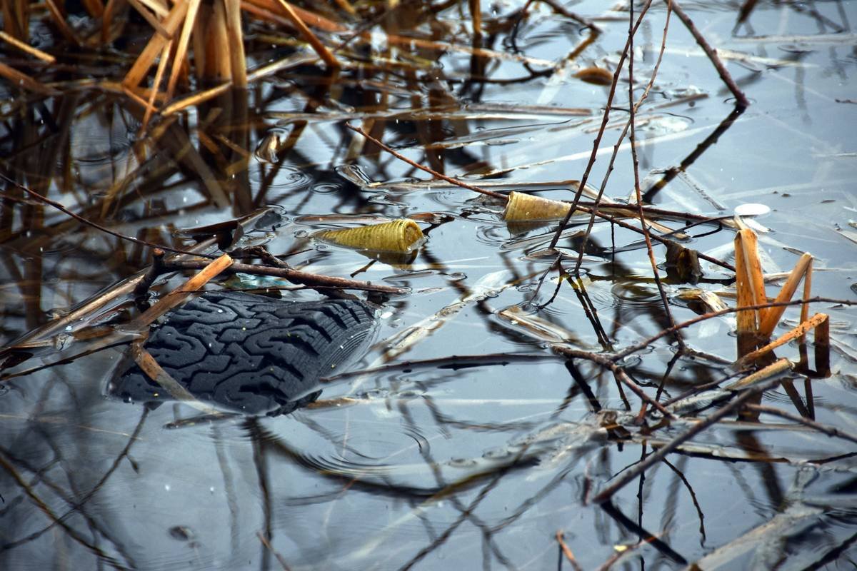 Why Your Kayak Rental Business Needs Water Pollution Insurance (And Where Most Operators Slip Up)